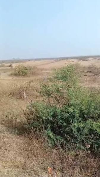 बड़ा कृषि फार्म लैंड (5+ एकड़)